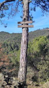 Camí tallat per vehicles amb motor.